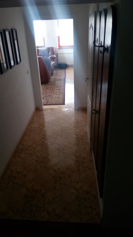Apartment Zelezny Hrozen Valtice Eksteriør billede